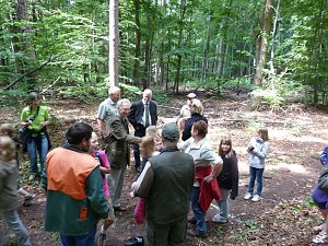 Waldjugendspiele begeisterten