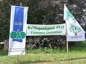 Waldjugendspiele begeisterten