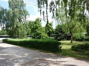 Waldjugendspiele begeisterten