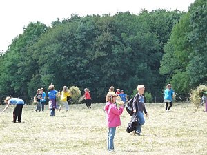 Waldjugendspiele begeisterten