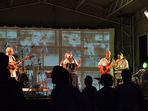 Fest der Vereine - Samstag