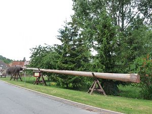 Laubk&ouml;nig gekr&ouml;nt