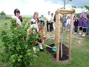 Laubk&ouml;nig gekr&ouml;nt