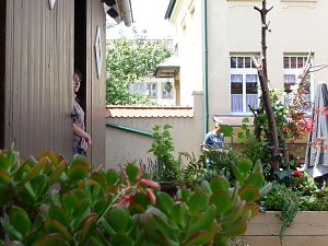 Nachwuchsfloristen ermitteln den Besten