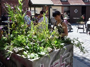 Nachwuchsfloristen ermitteln den Besten