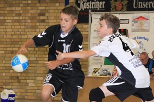 Vizemeister