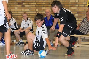 Vizemeister