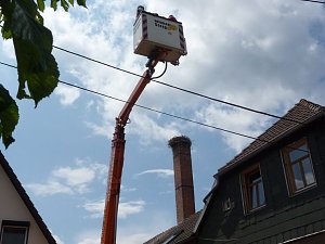 Ringe für junge Störche