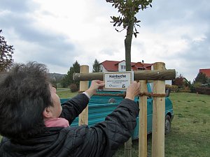 Am Rad gedreht