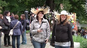 Am Rad gedreht