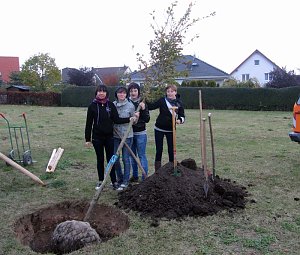 Am Rad gedreht
