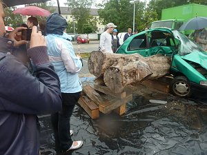 Aktion junge Fahrer