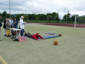N&auml;chstes Jahr wieder!
