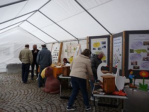 Namen ziehen