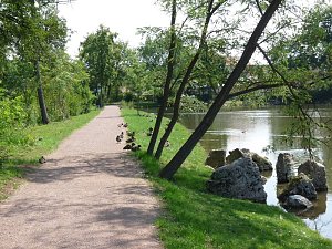 Sanierung Parkbr&uuml;cke und F&uuml;rstenweg