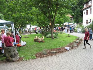 Sommerfest in Sülzhayn