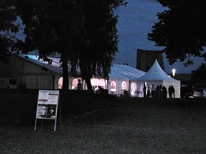 Tanzen und Flimmern
