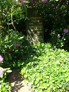 Kurt Wein (1883 - 1968), Lehrer und Botaniker