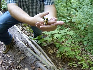 Erlebnis Natur