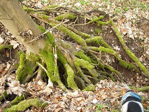 Erlebnis Natur