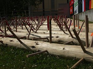 Waldarbeiter suchen ihren Meister