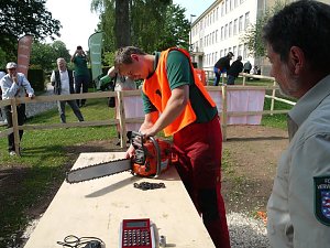 Waldarbeiter suchen ihren Meister