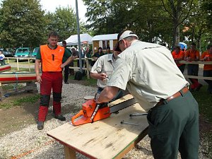Waldarbeiter suchen ihren Meister