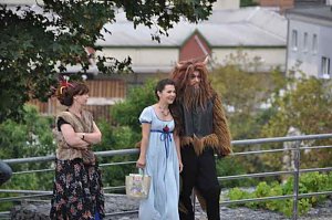 Harzfest 2011 auf den Petersberg