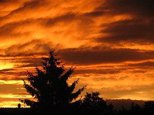 Abendrot