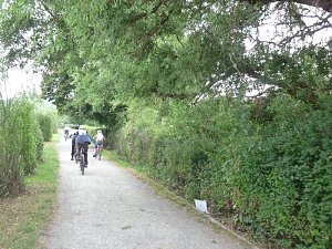 F&uuml;r die Verkehrssicherheit