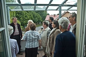 Neugierig auf den Sonnenschein