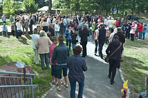 Neugierig auf den Sonnenschein