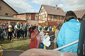 Neugierig auf den Sonnenschein