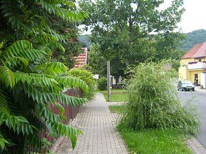 150 Jahre Gartenstra&szlig;e