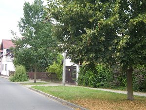 150 Jahre Gartenstra&szlig;e