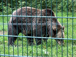 Auf dem Possen