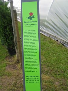 Rosenschautag in Ellrich