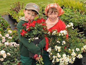 Rosenschautag in Ellrich