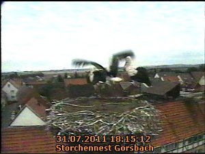 Erster Flug