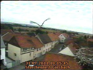 Erster Flug