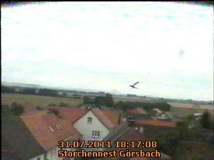 Erster Flug