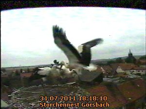 Erster Flug