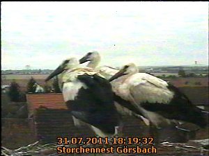 Erster Flug