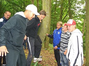 Teambildung