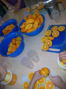 Camp-Tagebuch