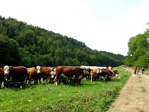 Bilder aus dem Camp