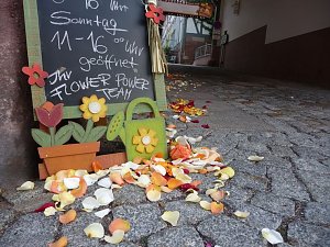 Altstadtfest 2011