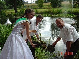 Parkfest in Werna