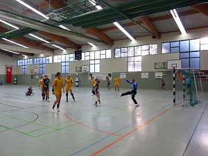 Werbung f&uuml;r den Handball