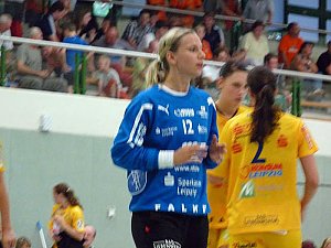 Werbung f&uuml;r den Handball